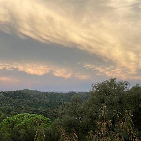 Casa Con Vista Y Jardin, A 20' De La Playa Vila Sant Cebrià de Vallalta Exterior foto